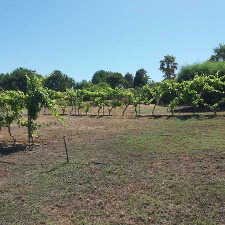 Villa Kos ماستيخاري المظهر الخارجي الصورة