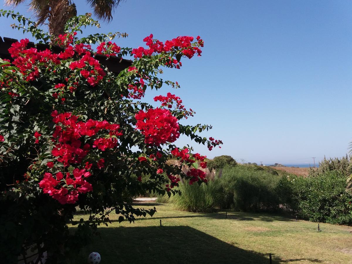 Villa Kos ماستيخاري المظهر الخارجي الصورة