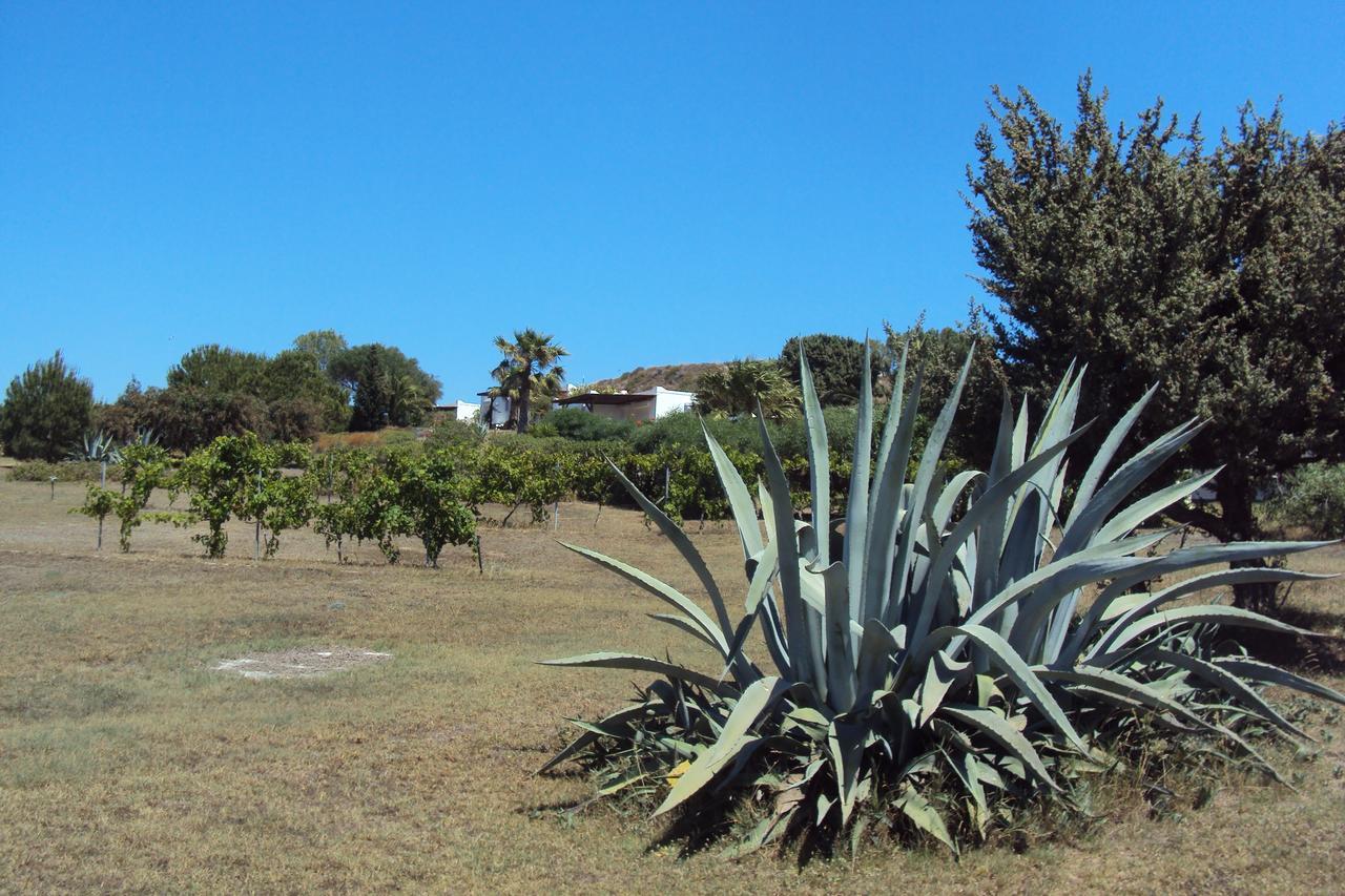Villa Kos ماستيخاري المظهر الخارجي الصورة