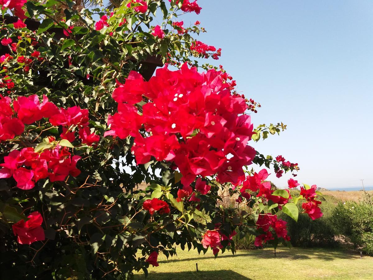 Villa Kos ماستيخاري المظهر الخارجي الصورة