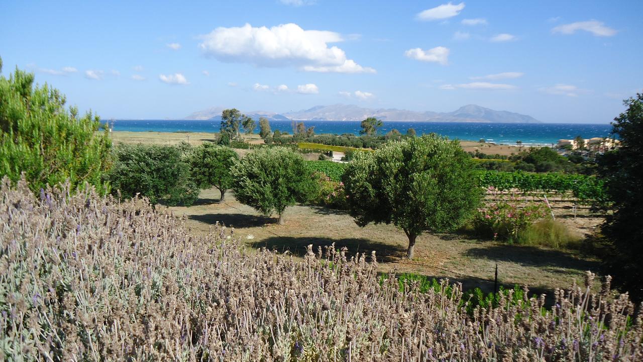 Villa Kos ماستيخاري المظهر الخارجي الصورة