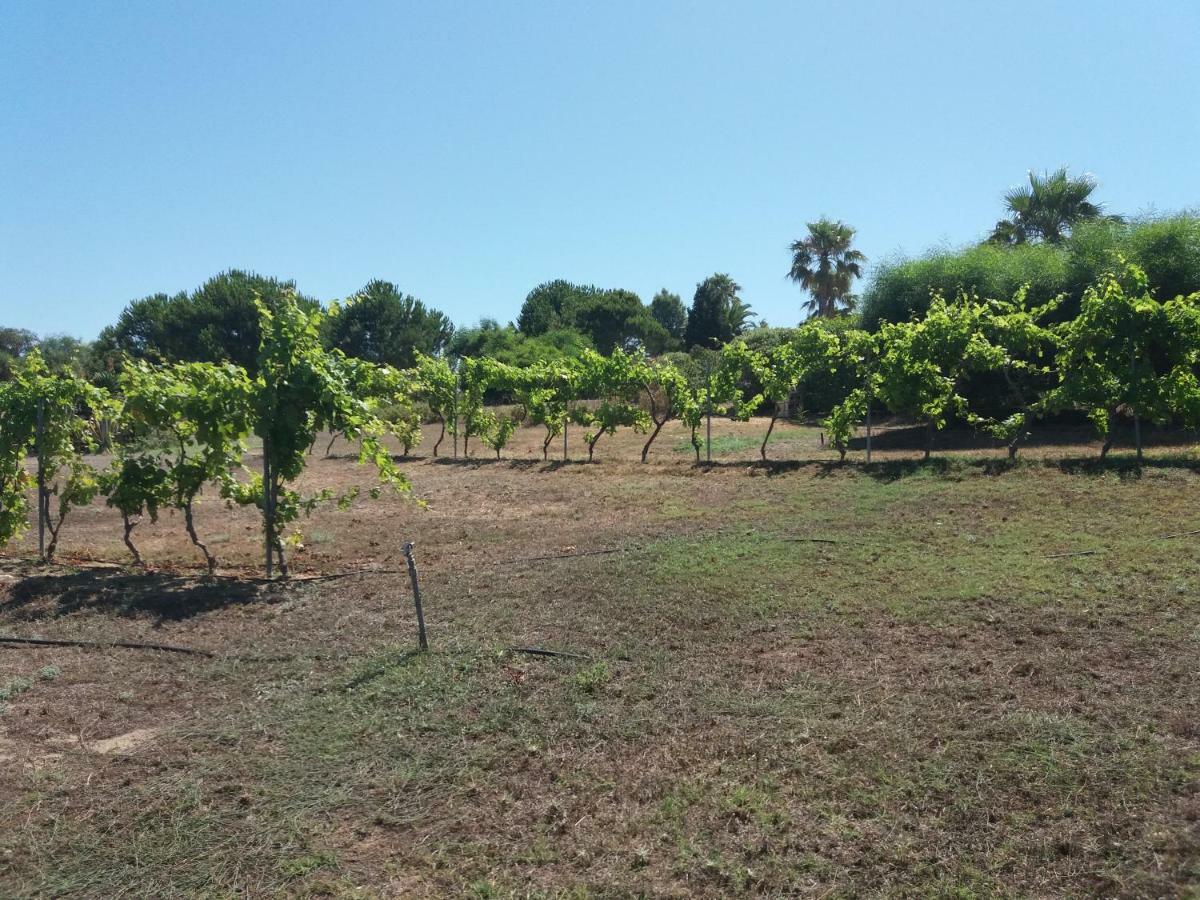 Villa Kos ماستيخاري المظهر الخارجي الصورة