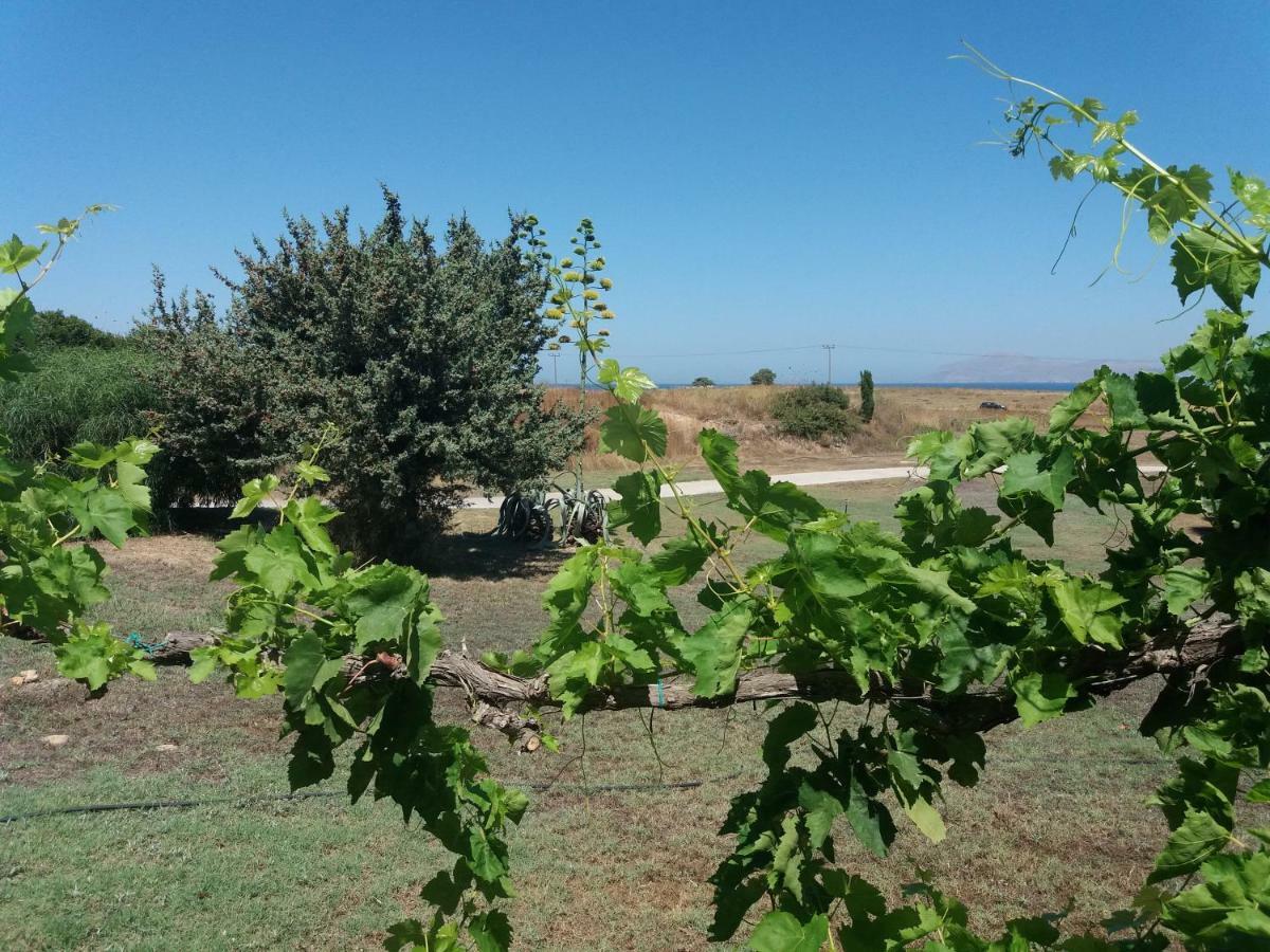 Villa Kos ماستيخاري المظهر الخارجي الصورة